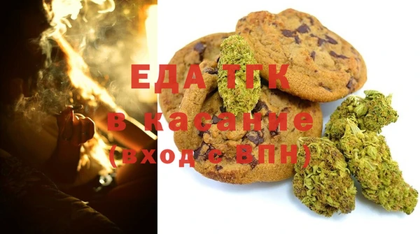 индика Алзамай