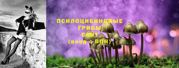 соль курить ск Алексин