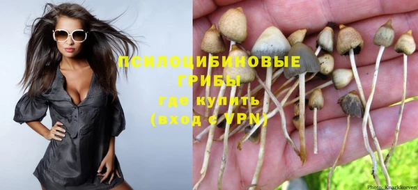 хмурый Алексеевка