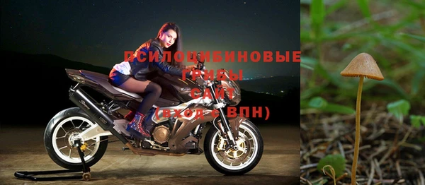 индика Алзамай