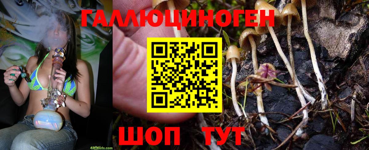 Галлюциногенные грибы Psilocybine cubensis Первоуральск