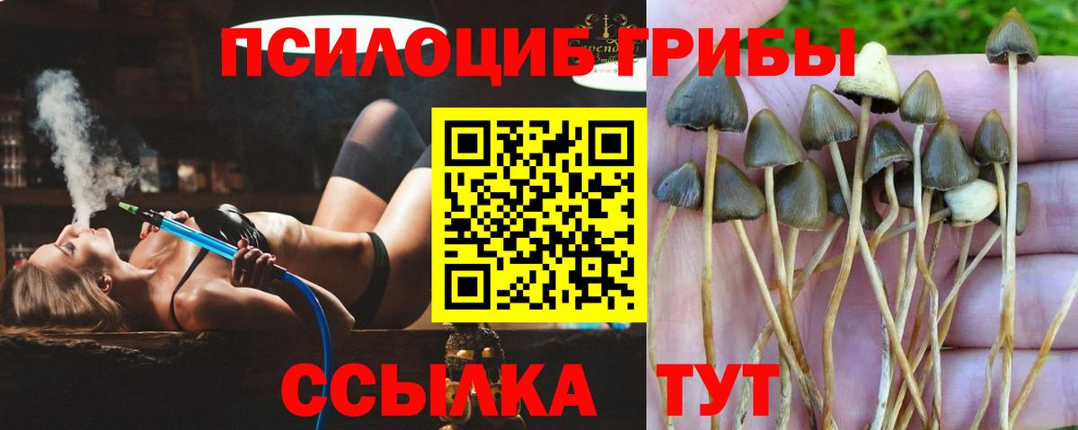 Псилоцибиновые грибы ЛСД  Псилоцибиновые грибы Magic Shrooms  Первоуральск  Вход с VPN 